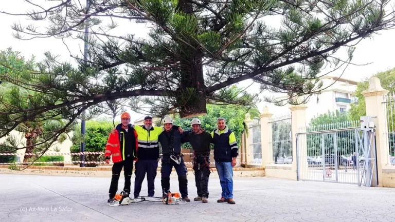 La Gan Tala 06 768x433