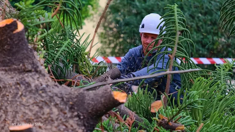 La Gan Tala 17 768x433