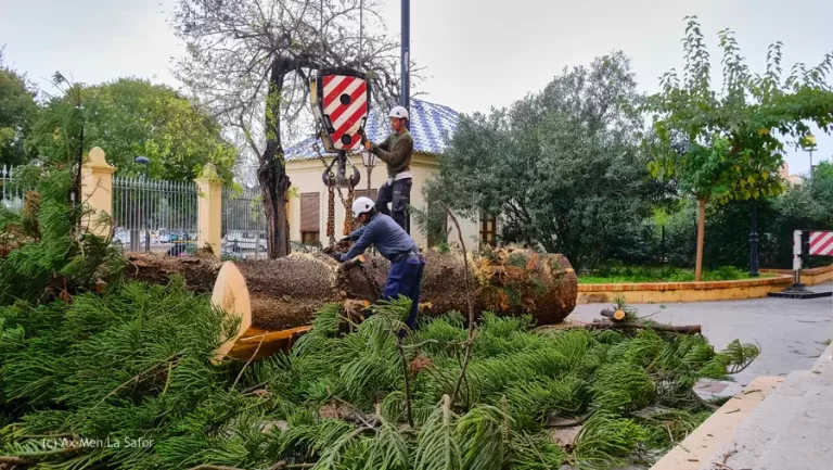 La Gan Tala 40 768x433